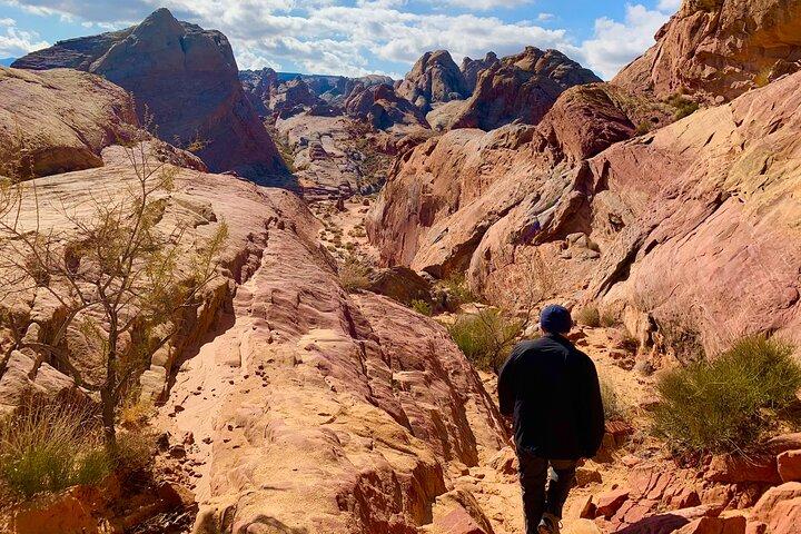 Valley of Fire Tour