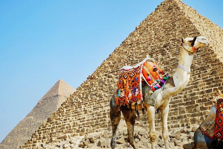 amazing Private Tour: Cairo Flight and Tour from Sharm el Sheikh