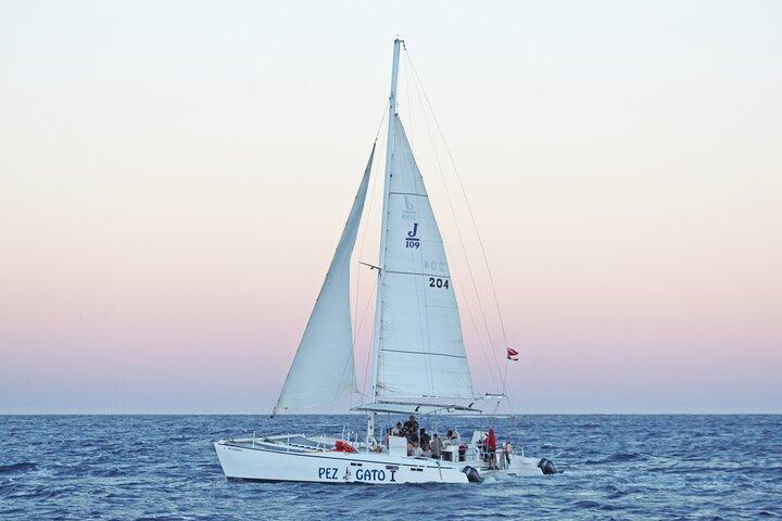 Catamaran Snorkel at Los Cabos! Gorgeous Snorkel & Party + Round Transportation