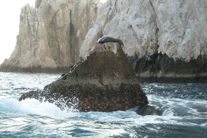 Catamaran Snorkel at Los Cabos! Gorgeous Snorkel & Party + Round Transportation