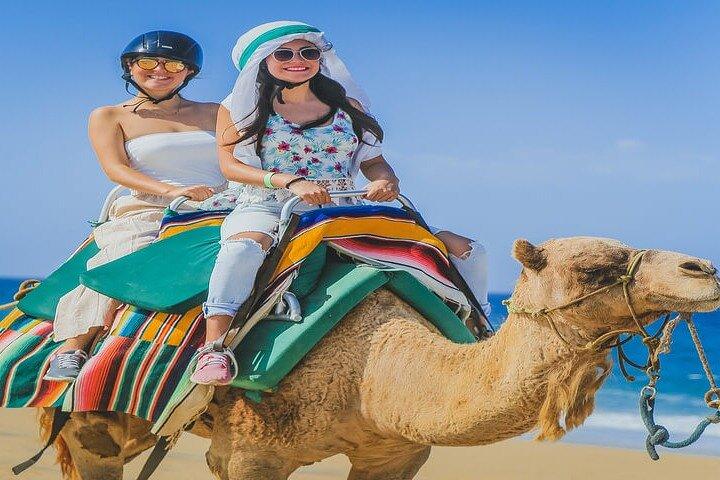Camel Ride & ATV Combo in Migriño, Mexico