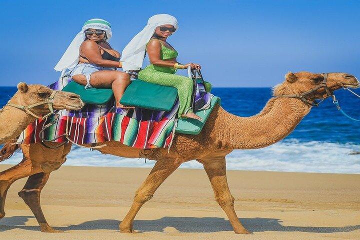 Camel Ride & ATV Combo in Migriño, Mexico