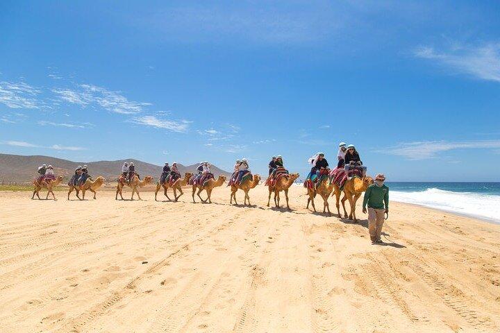 Camel Ride & ATV Combo in Migriño, Mexico
