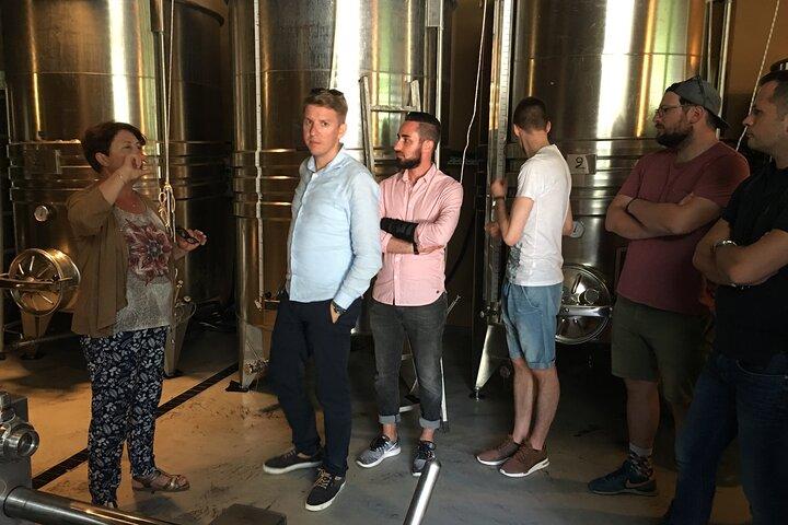 Semi Private Organic Wine & Food Tasting Tour (From Nice)