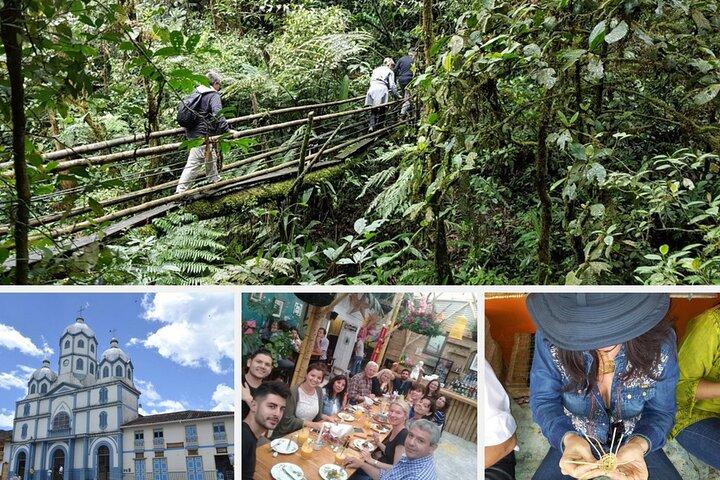 Cocora Valley, Salento and Filandia Full-Day Private Tour