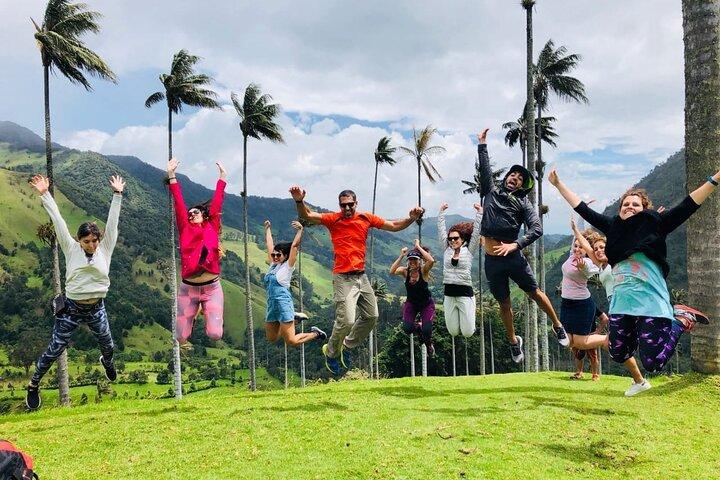 Cocora Valley, Salento and Filandia Full-Day Private Tour