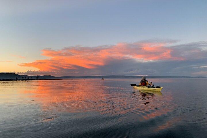 Yellowstone Lake & Hot Springs / 3 Hour Morning or Twilight Tour