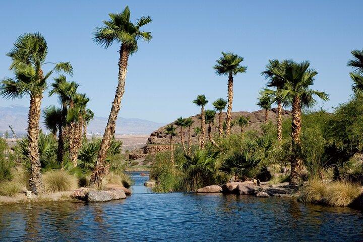 Private Fayyum Oasis Over day from Cairo, Egypt