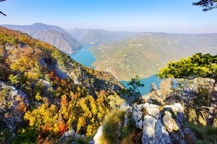 Full Day Trip from Belgrade: The Drina River House And Tara Park Tour