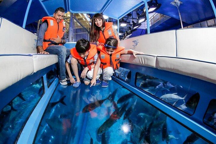 Mall Aquarium and Underwater Zoo