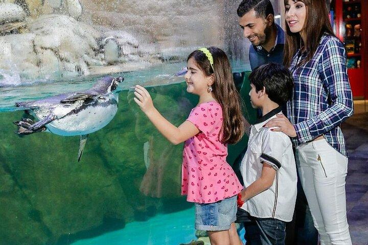 Mall Aquarium and Underwater Zoo