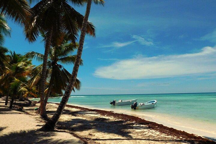 Full-Day Tour to Saona Island from Bayahibe with Lunch
