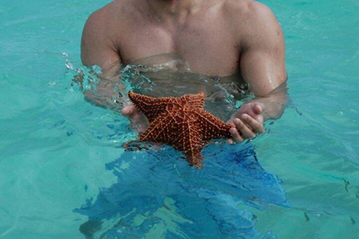 Full-Day Tour to Saona Island from Bayahibe with Lunch