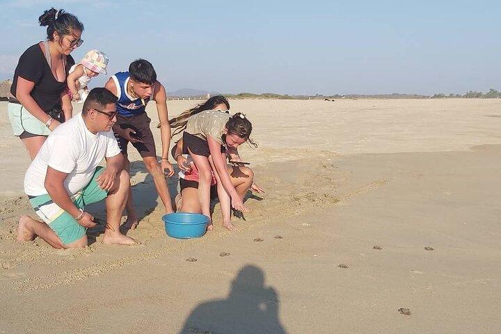 From Huatulco: Turtle Release & Bioluminescence