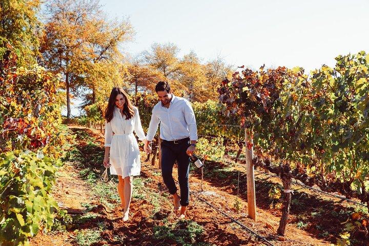Cape Winelands Private Tour to Stellenbosch and Franschhoek