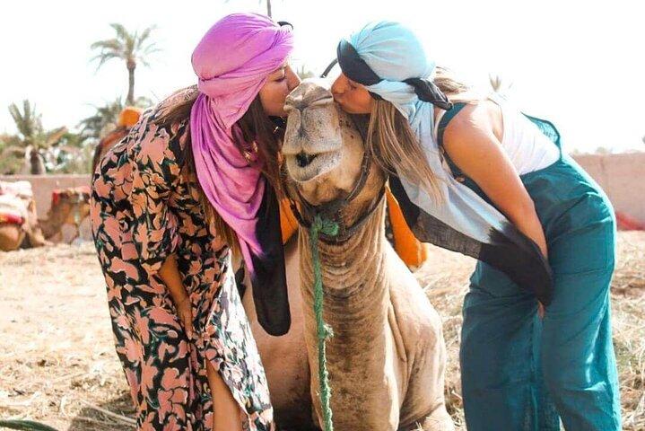 Marrakech Sunset Camel Ride in the Palm Grove