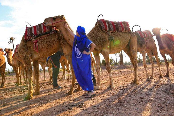 Marrakech Sunset Camel Ride in the Palm Grove