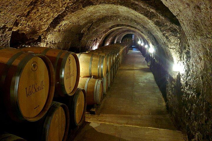 Ribera del Duero:4 Wineries, tasting & Lunch included from Madrid