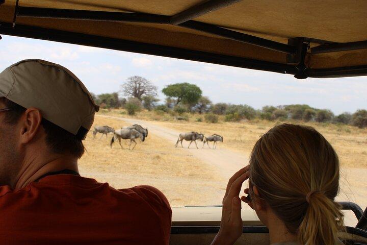 Full-Day Ngorongoro Crater private tour