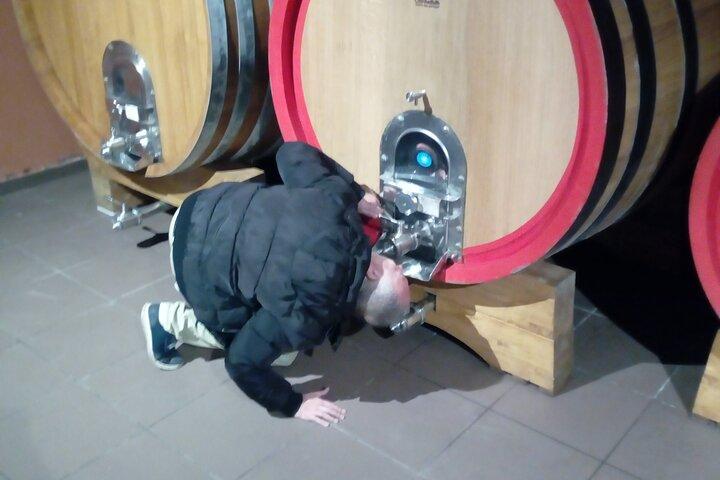 private tour of etna with wine tasting and lunch in the cellar