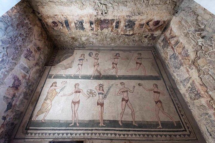 Villa Romana del Casale Mosaics Unesco Private Tour
