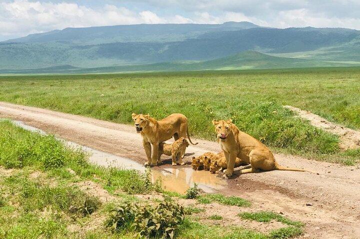 The best Selous 1 day safari from Zanzibar