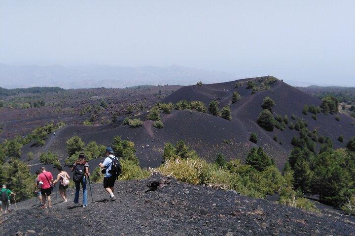 private tour of etna with wine tasting and lunch in the cellar