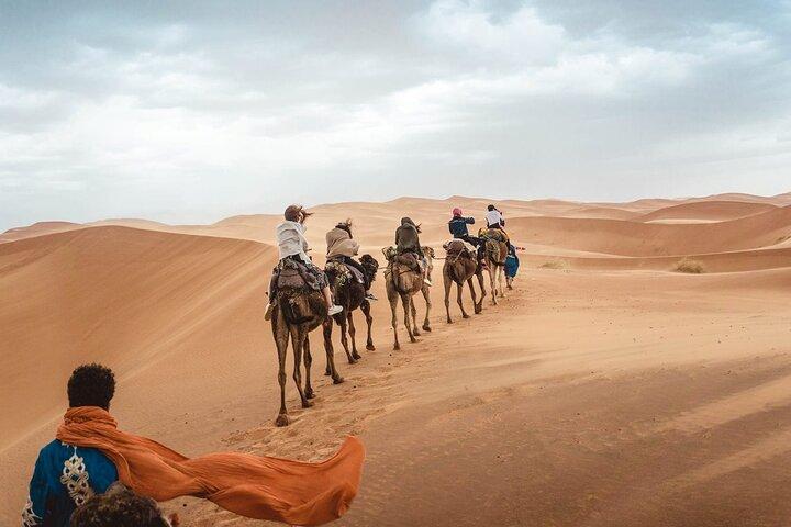 Off-Road Desert Adventure & BBQ Dinner from Abu Dhabi