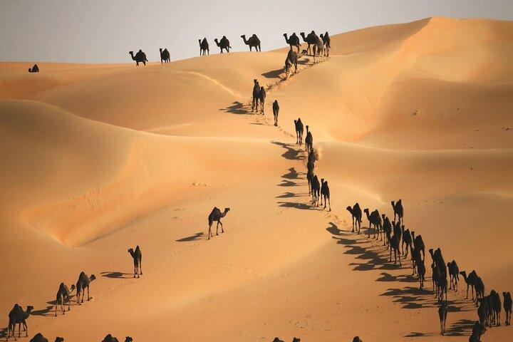 Liwa Dunes : Full Day 4x4 Safari Adventure From Abu Dhabi