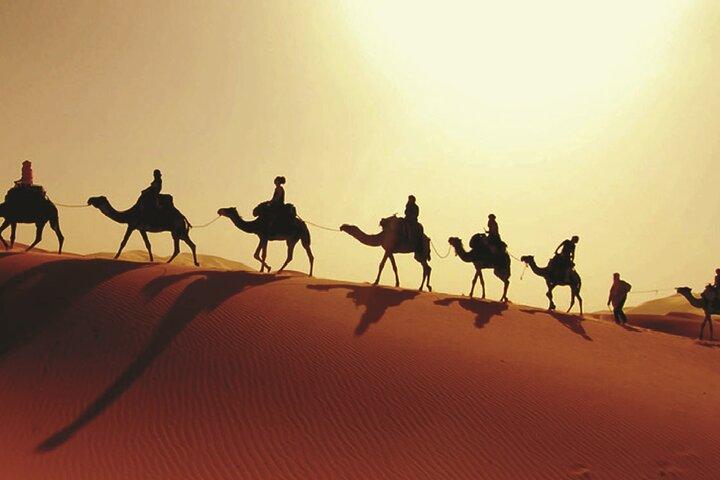 Liwa Dunes : Full Day 4x4 Safari Adventure From Abu Dhabi