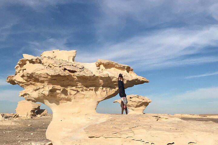 Day tour to White Desert and Bahariya Oasis Tour