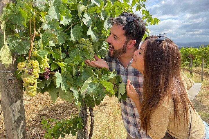 From San Gimignano: Tuscany Wine tour by Tuk Tuk with Lunch