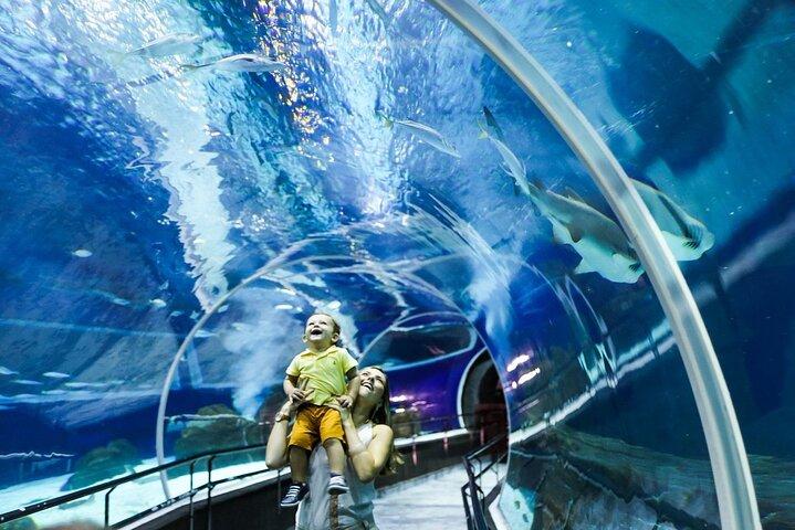AquaRio, Museum, Boulevard Olimpico, Ferris Wheel, Transport and Tourism Guide.