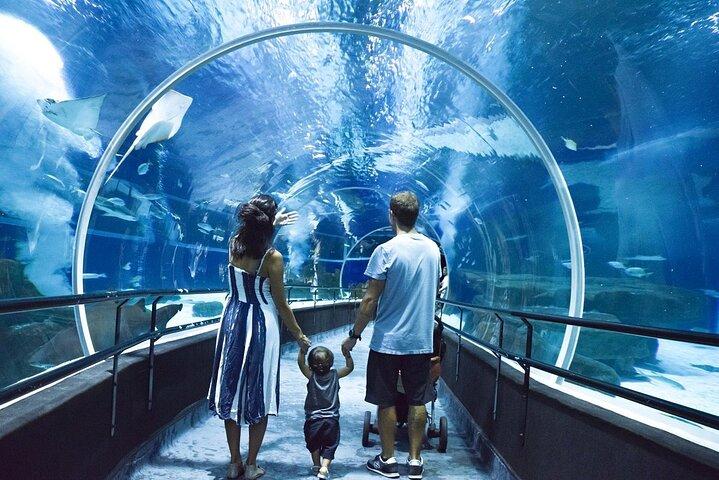 AquaRio, Museum, Boulevard Olimpico, Ferris Wheel, Transport and Tourism Guide.