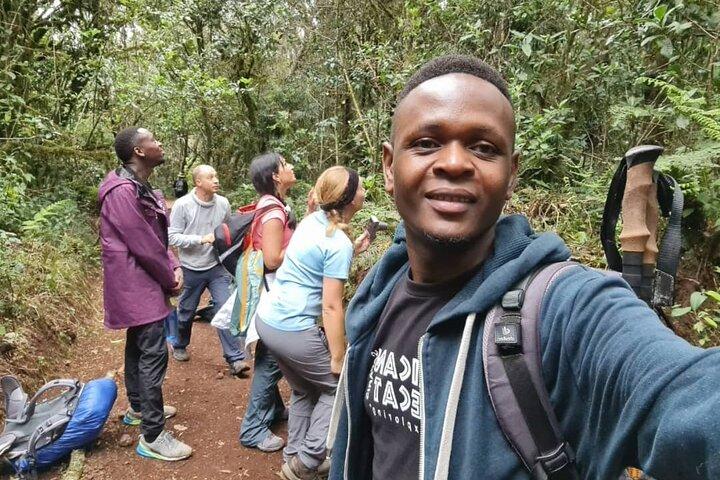 Mountain Kilimanjaro Day Hike