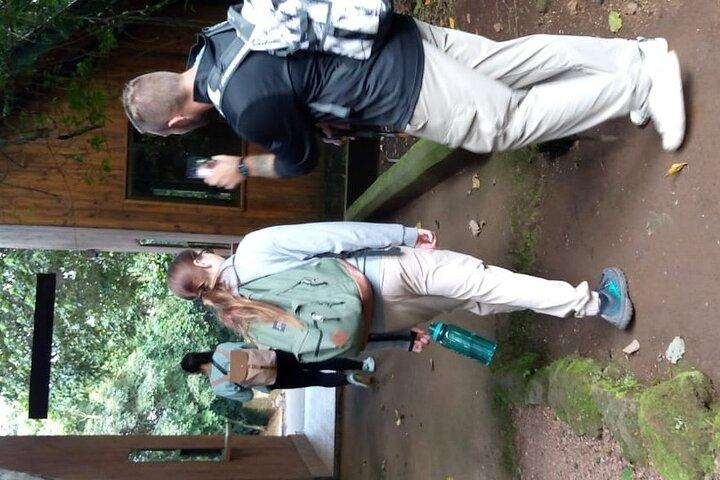 Mountain Kilimanjaro Day Hike