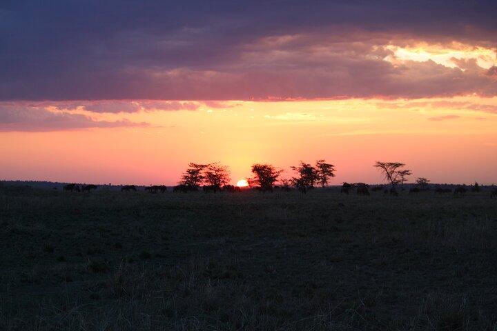 7-Day Private Tanzania Safari with Sunset Walking on the Crater Rim and Maasai