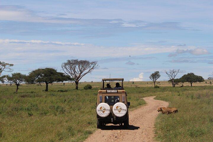 7-Day Private Tanzania Safari with Sunset Walking on the Crater Rim and Maasai