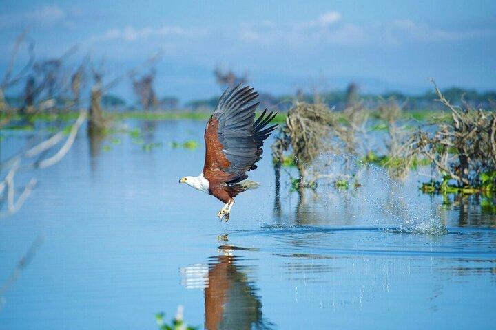 10 Days Private Honeymoon Kenya Safari and Beach