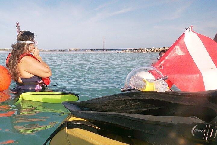 Aruba Snorkeling Tour: Mangel Halto and Baby Beach