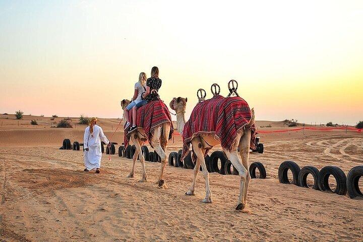 Big Red Dunes Desert Safari in Dubai with Camel Ride, Live Shows & BBQ Dinner