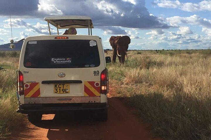 3 Days Tsavo East & West Safari from Diani Beach Mombasa