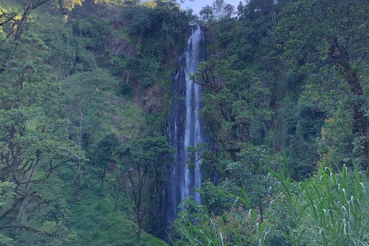 Materuni Waterfalls & Coffee Tour
