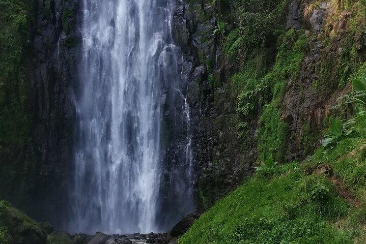 Private Materuni Waterfalls Hiking and Coffee Tour