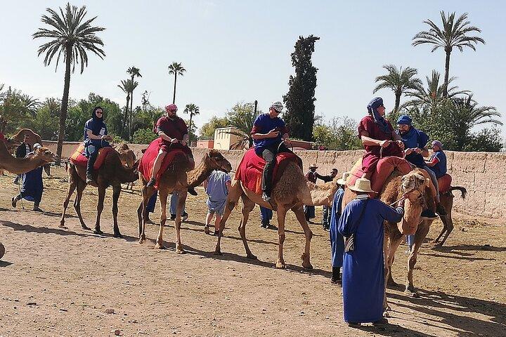 Day Excursion To Ourika Valley and High Atlas From Marrakech: Shared