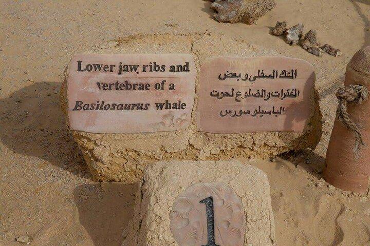 Day Tour to El Fayoum from Cairo