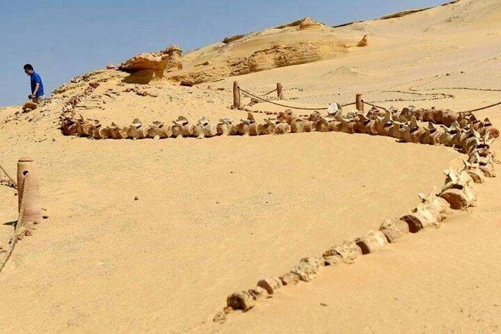 Day Tour to El Fayoum from Cairo