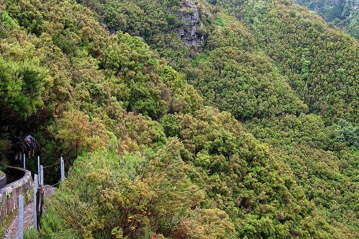 Madeira Levada Walk - Rabacal Lakes and Fountains