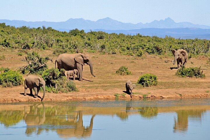 3 Day Samburu Safari