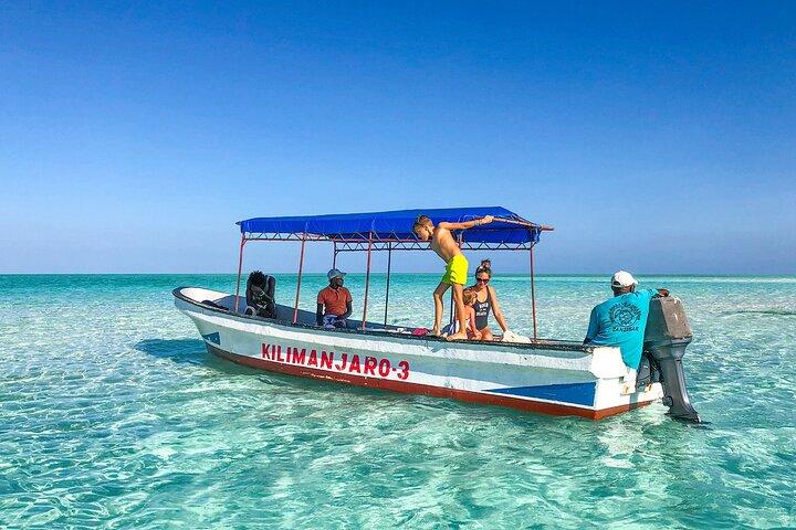Half-day Snorkeling at Mnemba Coral Gardens
